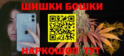 крисы Партизанск